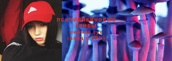 a pvp Абаза