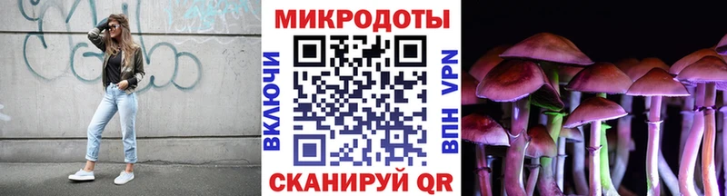 Псилоцибиновые грибы Cubensis Тольятти